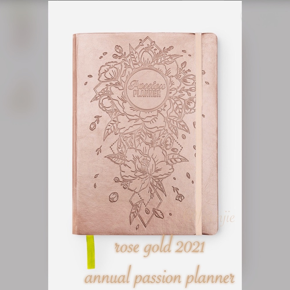 2021 annual rose gold passion planner